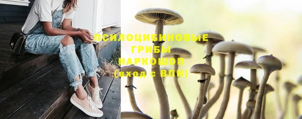 кокс Алагир
