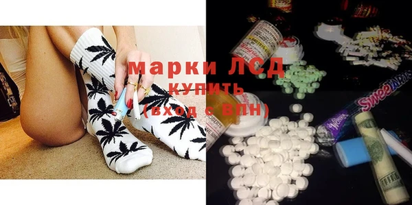 гидра Ачинск