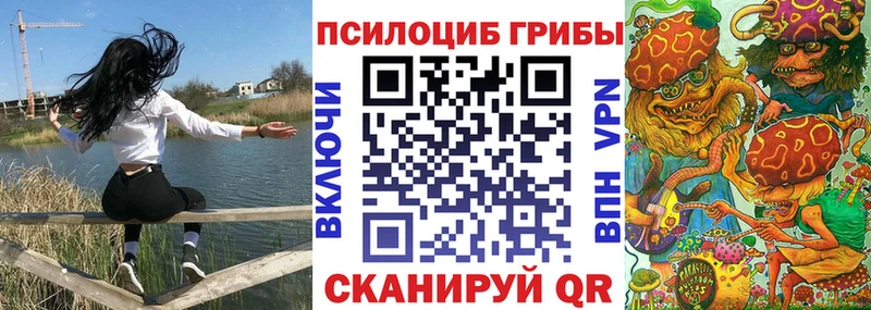 что такое наркотик  Борзя  kraken ТОР  Псилоцибиновые грибы Magic Shrooms 