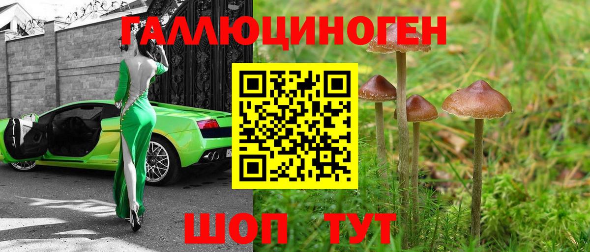 Галлюциногенные грибы Magic Shrooms  Вход с VPN  Борзя 