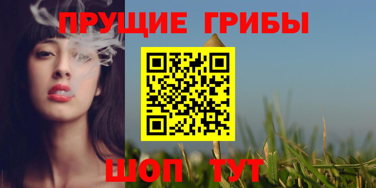 закладка  Борзя  Галлюциногенные грибы Cubensis 