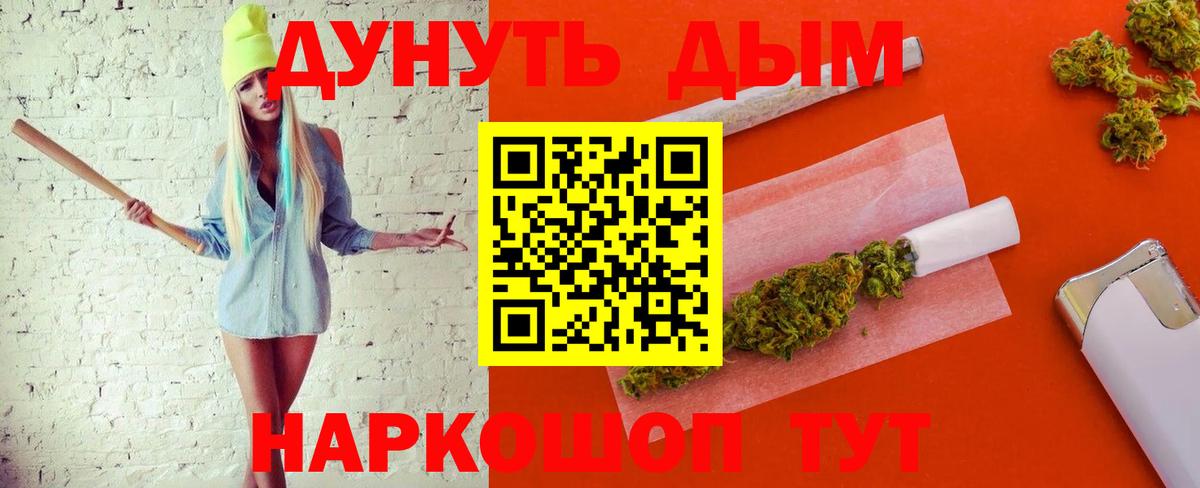 Каннабис OG Kush  Каннабис план  Вход с VPN  МАРИХУАНА Bruce Banner  Борзя  МАРИХУАНА гибрид 